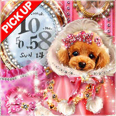 Princess toy Poodle